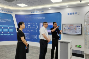 諸暨市副市長(cháng)王玉珠一行調研遠望信息